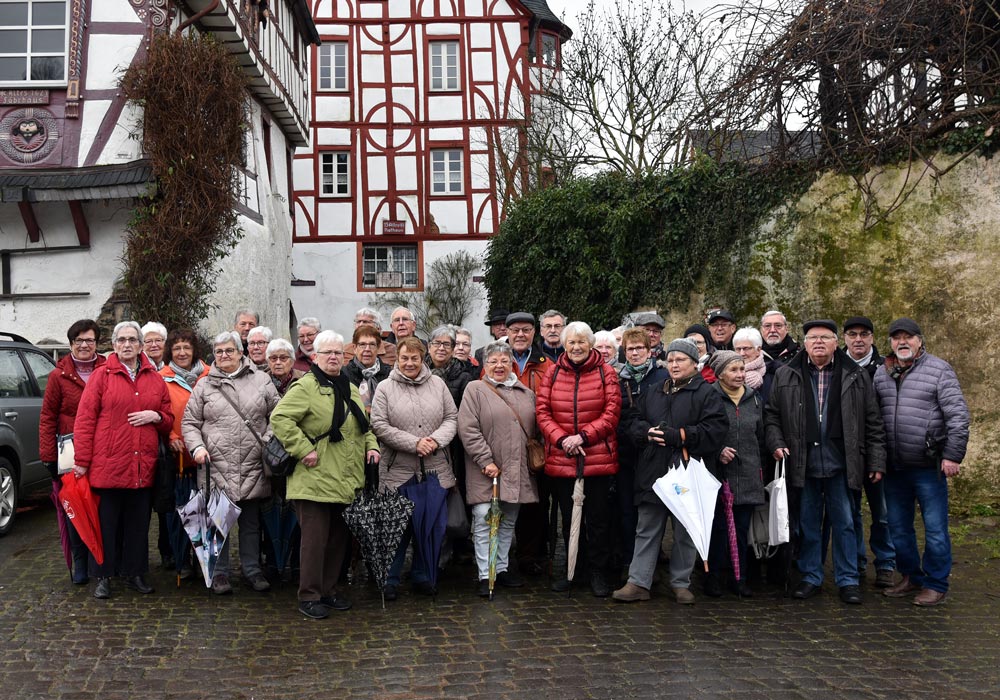 Fotos aus Pünderich / Mosel